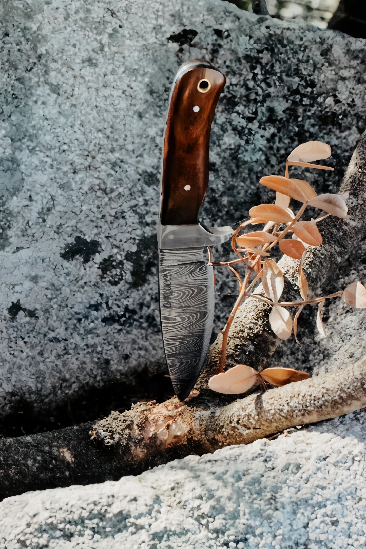 Couteau de table "Le Golo"