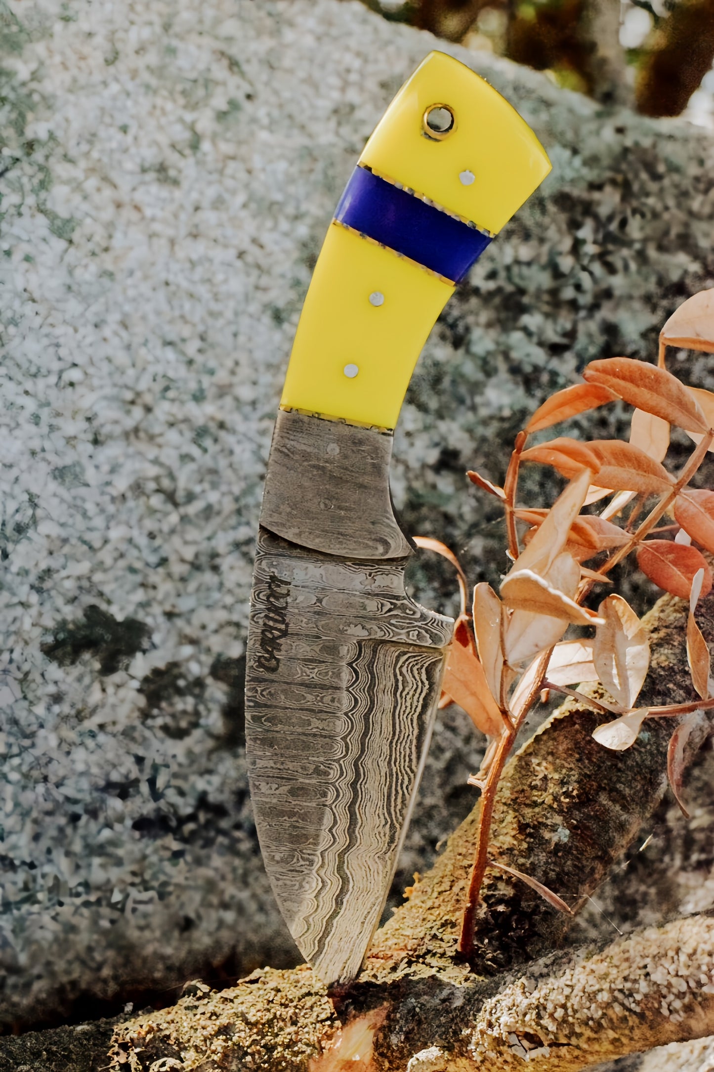 Couteau de chasse "U Gravunincu"