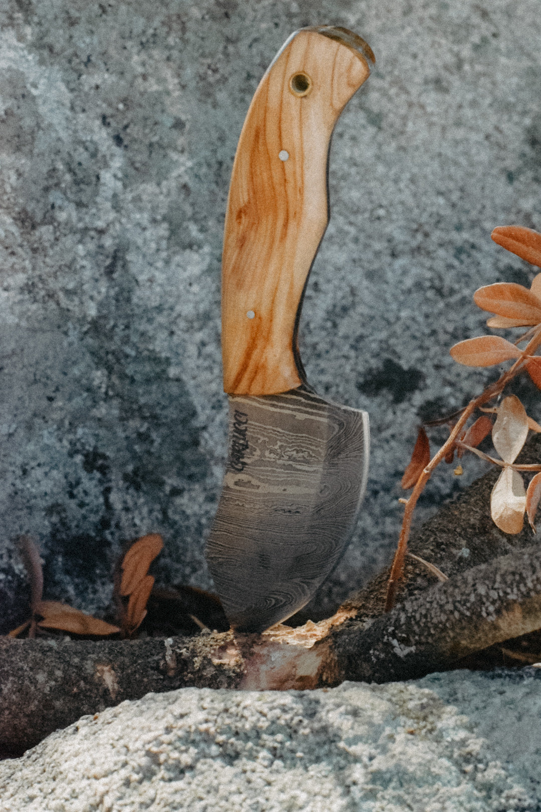 Hachoir à herbes et condiments " U Ventiseri"