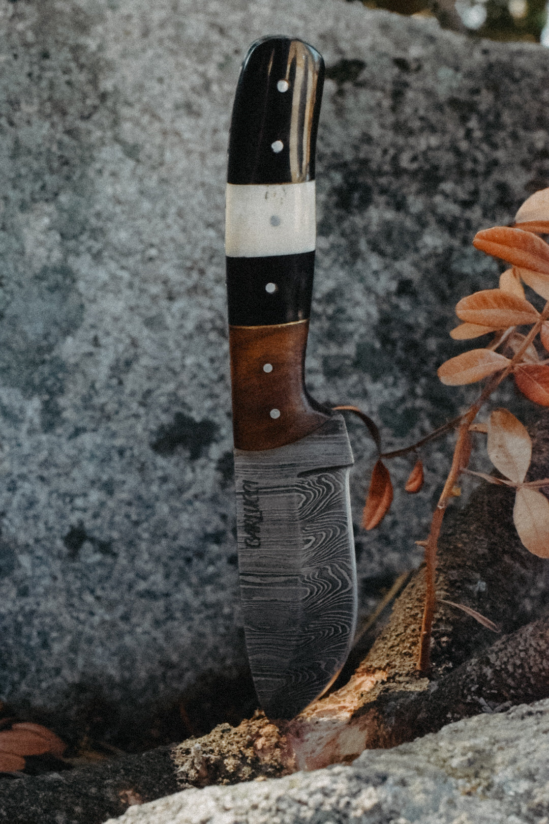 Couteau de table " U Sartinesu"