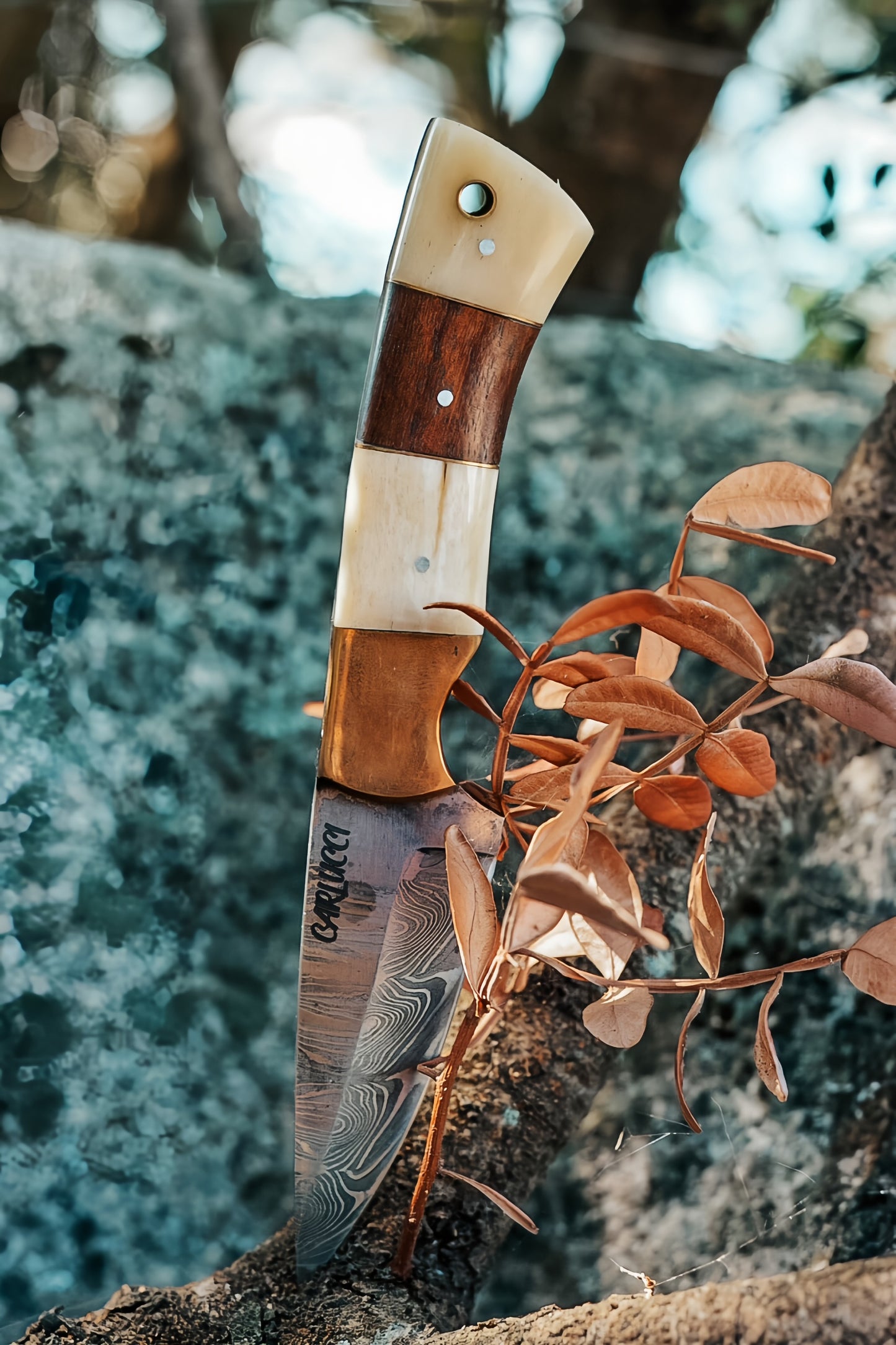 Couteau de table "Murato"