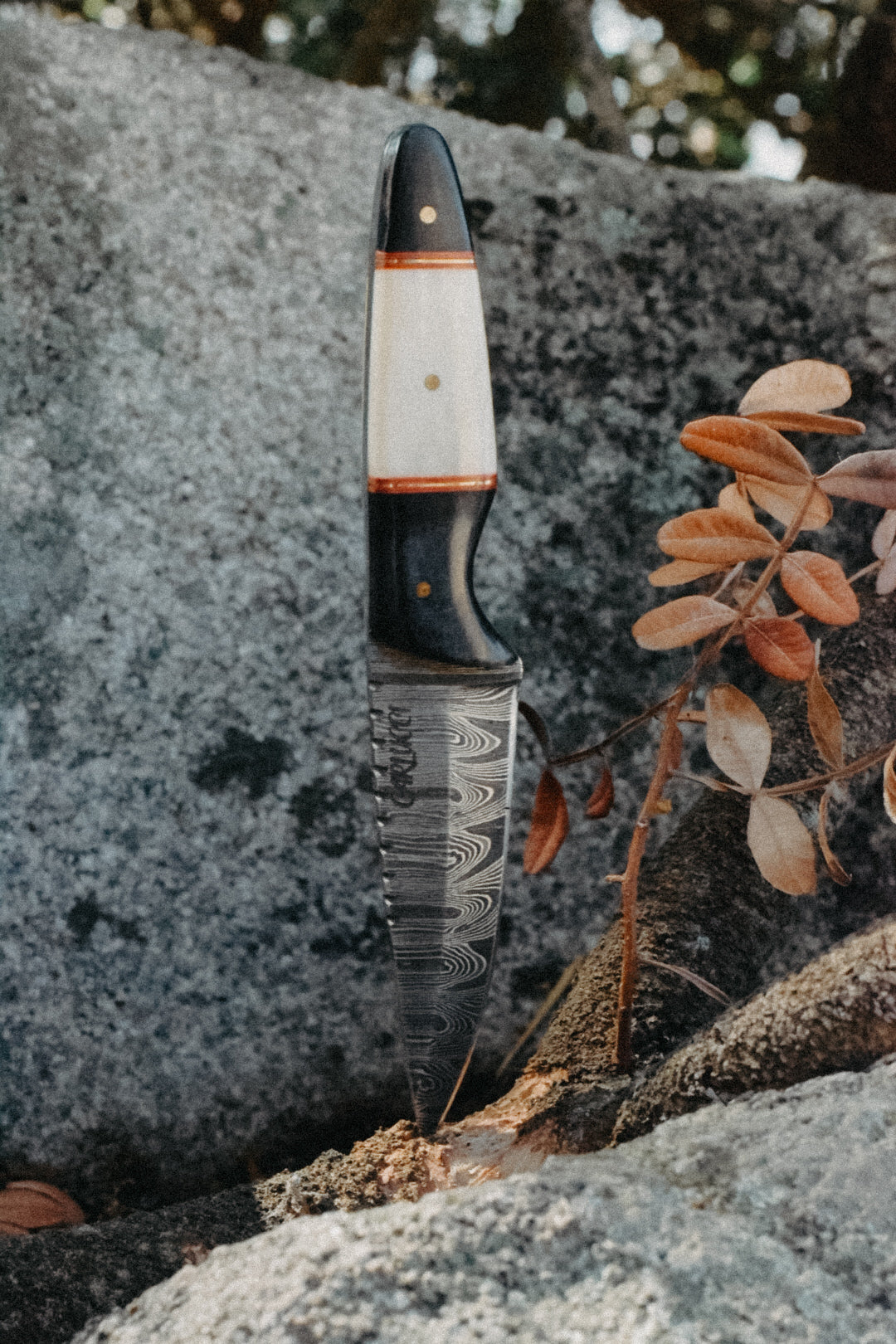 Couteau de table " U Tavaru"