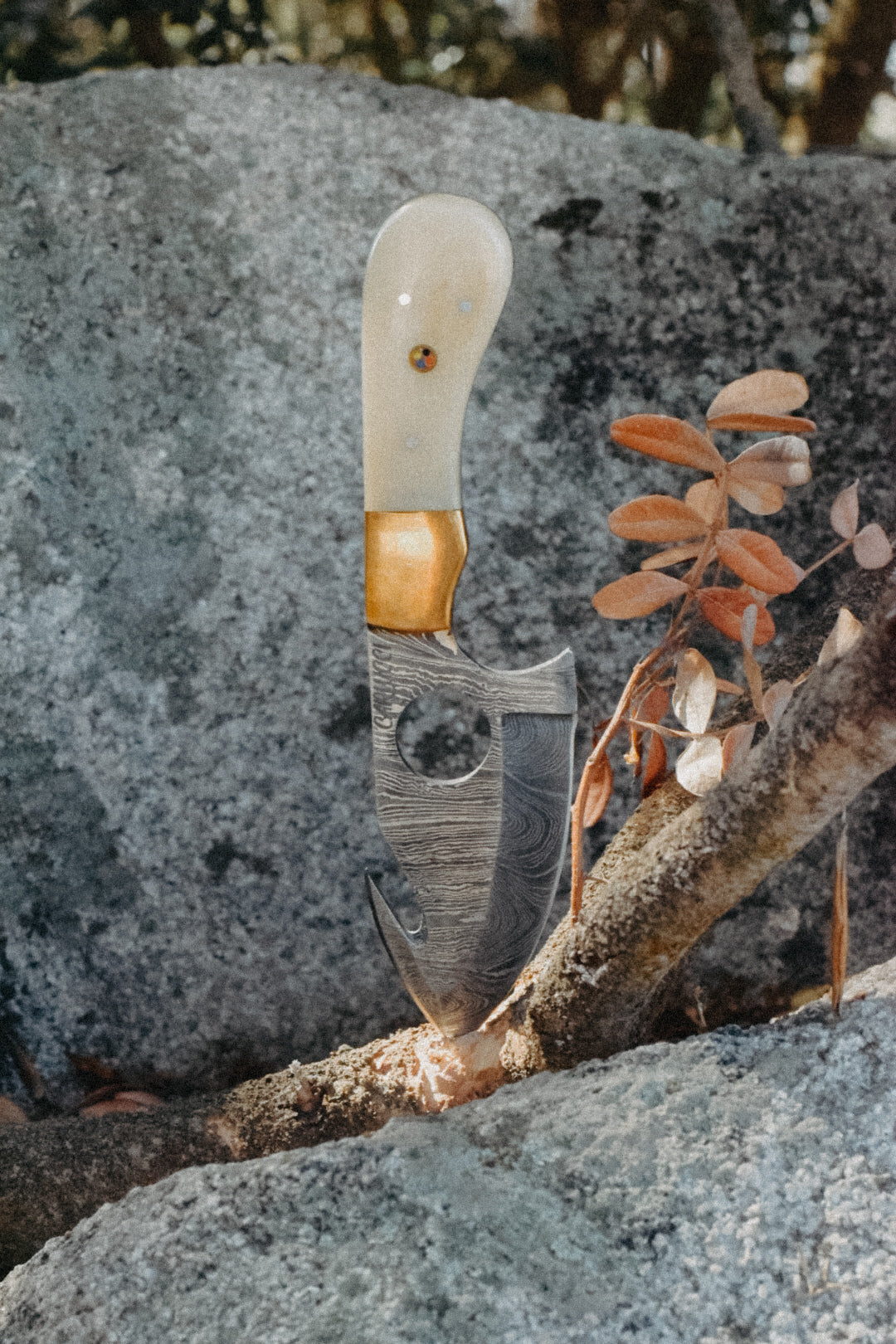 Couteau à dépecer "U Balagninu"